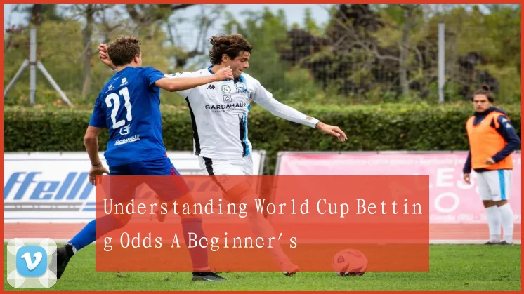 Understanding World Cup Betting Odds A Beginner's