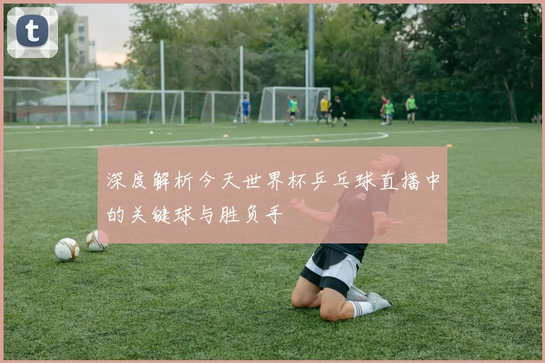 深度解析今天世界杯乒乓球直播中的关键球与胜负手