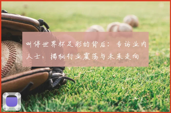 叫停世界杯足彩的背后：专访业内人士，揭秘行业震荡与未来走向
