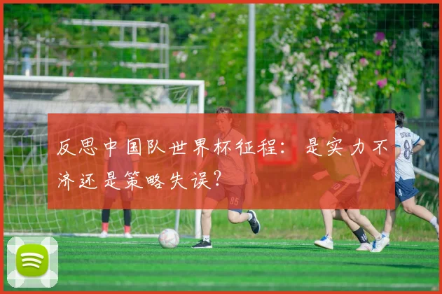 反思中国队世界杯征程：是实力不济还是策略失误？