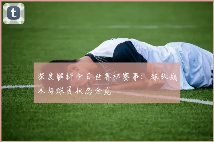 深度解析今日世界杯赛事:球队战术与球员状态全览