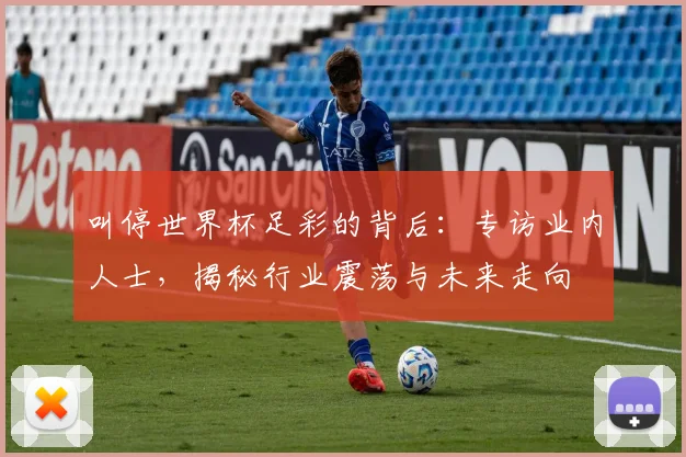 叫停世界杯足彩的背后：专访业内人士，揭秘行业震荡与未来走向