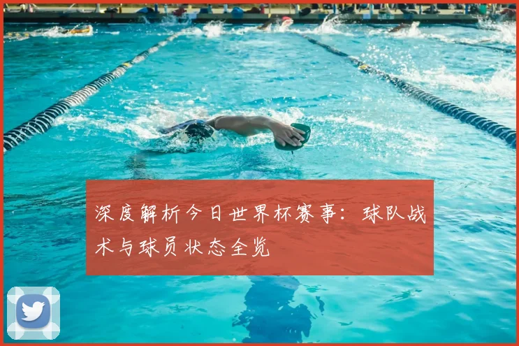 深度解析今日世界杯赛事：球队战术与球员状态全览