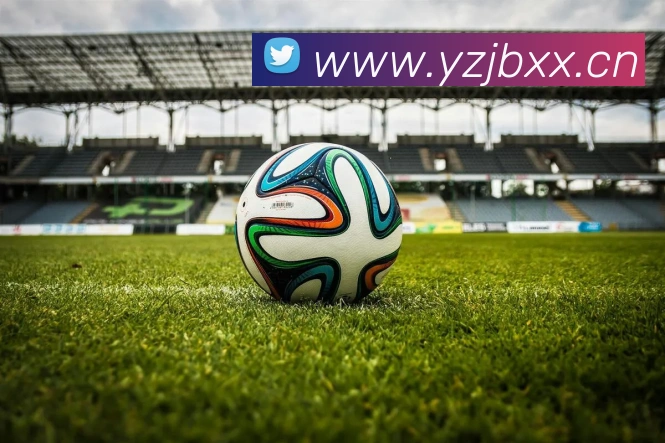 mksports官方网站平台生态图