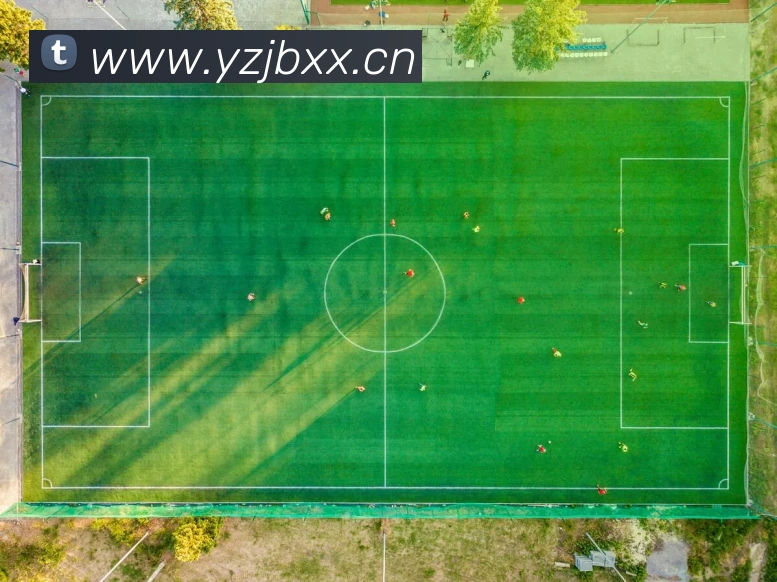 mksports官方网站APP 封面图